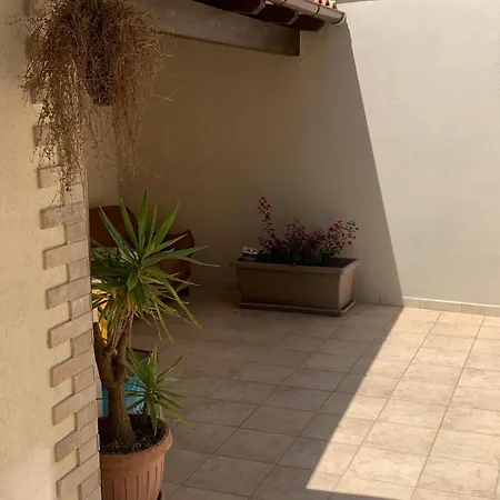Il Quadrifoglio 1 * מסאפרה